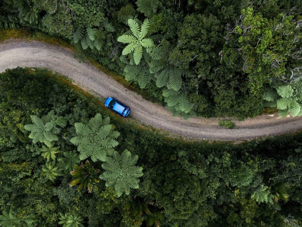 Car driving on winding road in the jungle