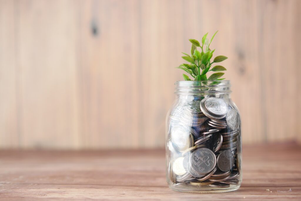 FintechOS: BNPL and Interest rates - plant growing out of jar of money